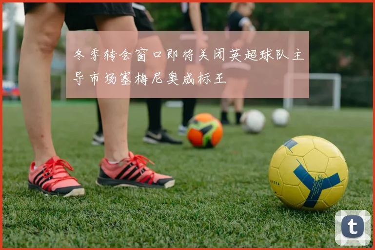 冬季转会窗口即将关闭英超球队主导市场塞梅尼奥成标王